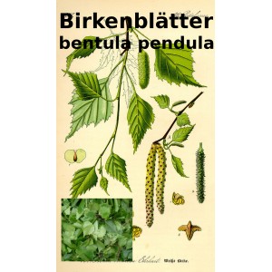 Birkenblätter Birkenblättertee Betula pendula ph. Eur