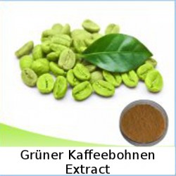 Grüner Kaffeebohnen Extract
