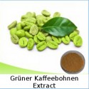 Grüner Kaffeebohnen Extract
