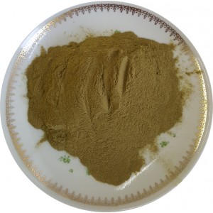 Oivenblätter Extrakt  Pulver - 20% Oleurophein