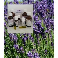 Lavendelöl naturrein 100% ätherische Öle von "Mäc Spice"
