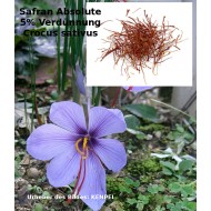 Safran Absolute 5% Lösung Crocus sativus  absolut selten Saffran