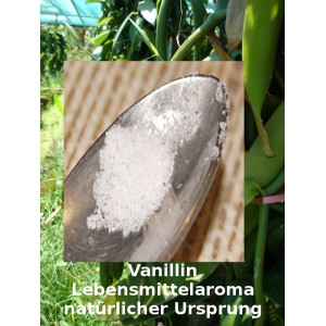 Vanillin - Vanillearomen natürlichen Ursprungs Pulver - Lebensmittelzusatz