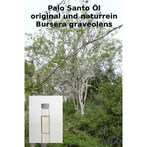 Palo Santo Öl (reines Öl) keine Verdünnung Bursera graveolens naturrein