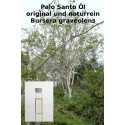 Palo Santo Öl (reines Öl) keine Verdünnung Bursera graveolens naturrein