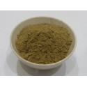 Absinth (Wermutkraut) Extrakt 10fach Artemisia absinthium L.