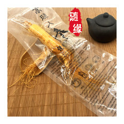 frische Ginsengwurzel ca. 50 Gramm Panax Ginseng