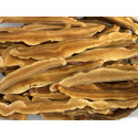 Ganoderma lucidum (Reishi / Ling-Zhi) in Streifen  getrocknet