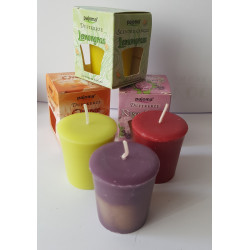 Duftkerze  -  "pajoma" - Grapefruit Cassis