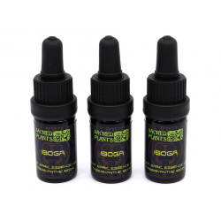 Iboga Tinktur TA Extract Tincture 1:55  5ml Flasche