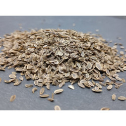 Dillöl Dillkrautöl 100% ätherische Öle von Mäc Spice