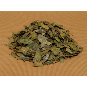 Bobinsana (Calliandra Angustifolia) ganze Blätter aus Peru