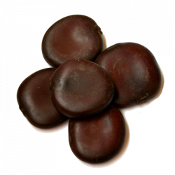 Entada Rheedii Beans, Dry Extract 50:1 from Thailand