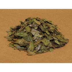 Bobinsana (Calliandra Angustifolia) ganze Blätter aus Peru