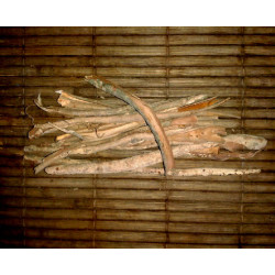 Bobinsana (Calliandra Angustifolia) ganze Blätter aus Peru