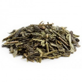 Grüner Tee Sencha  Camellia sinensis rückstandsfrei von Fantasia Aroma