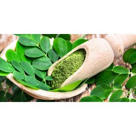 Moringa Öl ( kaltgepresst) moringa olifera Behen-Öl von Fantasia Aroma