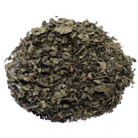 Salvia Divinorum 30X fach extract ( 0,5 Gramm )