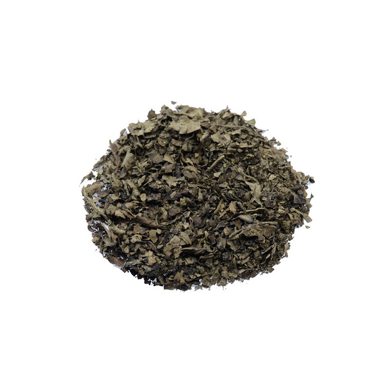 Salvia Divinorum 40X fach extract ( 0,5 Gramm )