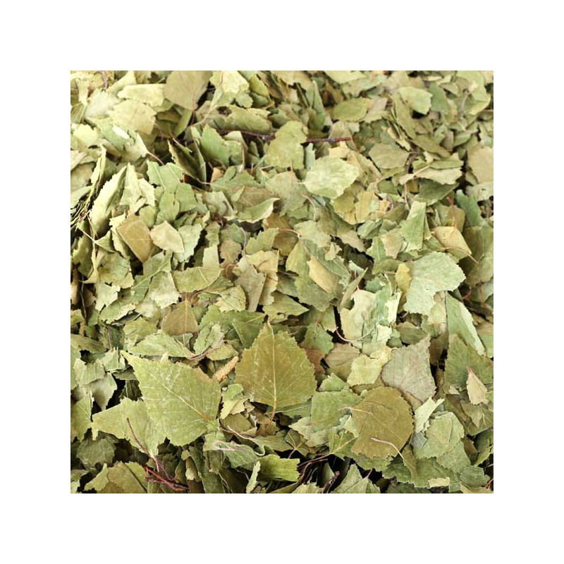 Birkenblätter ganz Birkenblättertee Betula pendula  von Fantasia Aroma