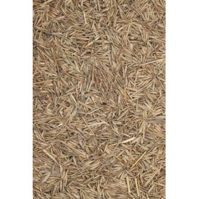 Heublumenblüten ganz  Flores Graminis Heublumen von Fantasia Aroma