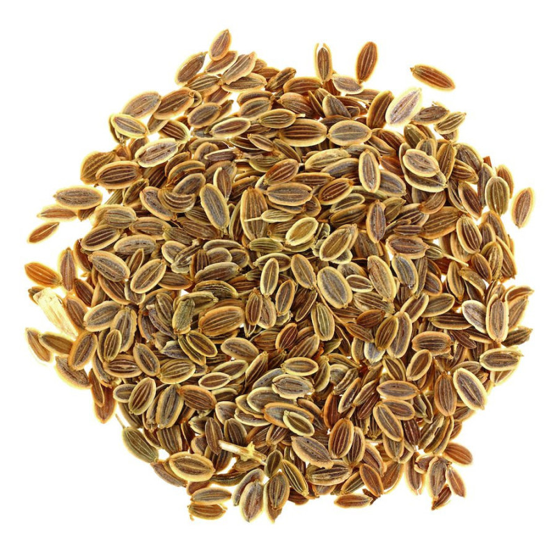 Dillsamenöl  Anethum graveolens naturreines Öl Dillöl