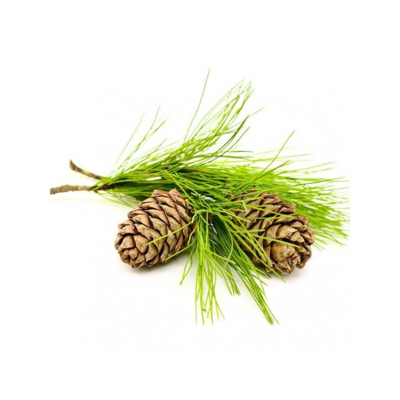 Zedernholzöl Himalaya cedrus deodora naturreines Öl