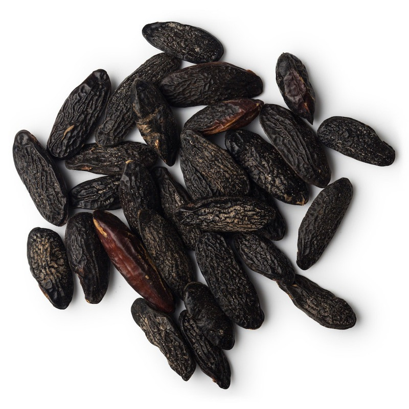 Tonkabohne absolue naturreines absolute Dipteryx odorata Will.