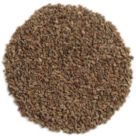 Selleriesamenöl Sellerieöl Apium graveolens naturreines ätherisches Öl