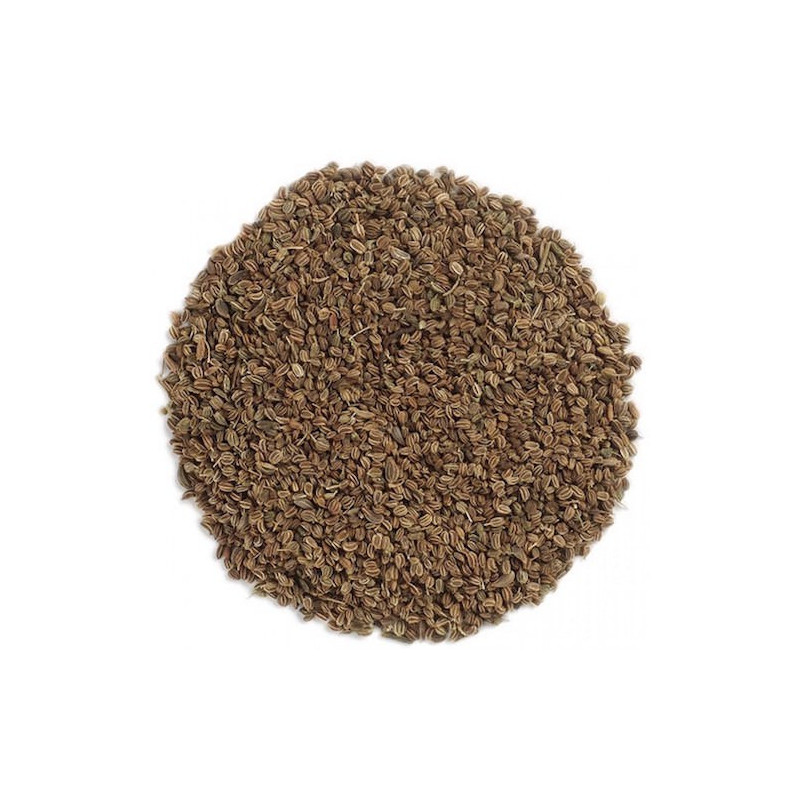 Selleriesamenöl Sellerieöl Apium graveolens naturreines ätherisches Öl