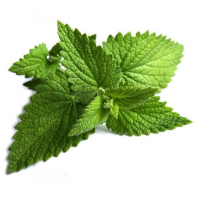 Pfefferminzöl mentha arvensis naturreines Öl