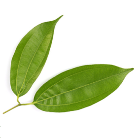 Peru Balsam Öl Balsamum peruvianum naturreines Öl