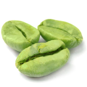 Kaffee CO2 Extract Öl coffea arabica L.  absolut selten