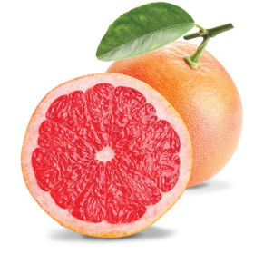 Grapefruitöl Citrus paradisi naturreines Öl