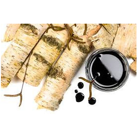 Birkenteeröl  Betula verrucosa Betula pendula  naturreines Öl