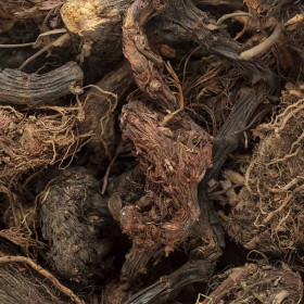 Nardenöl indische Narde Jatamansiöl Spickenard  Nardus stachus naturre