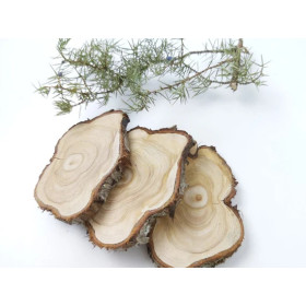 Wacholderholzöl Juniperus communis wood oil naturreines äthersiches Öl