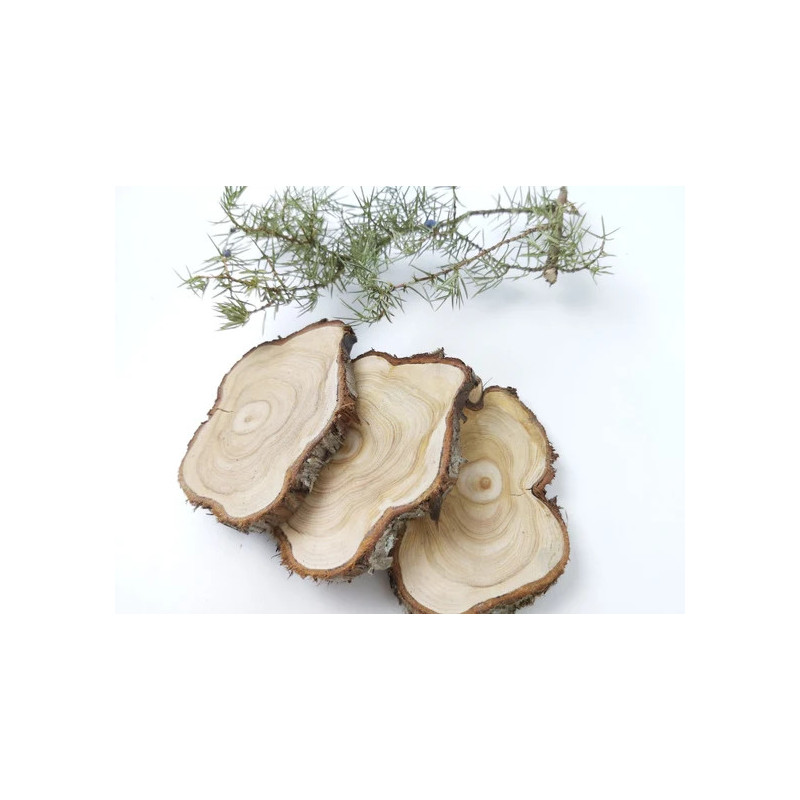 Wacholderholzöl Juniperus communis wood oil naturreines äthersiches Öl