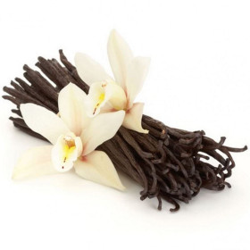 Vanilleöl Vanilla planifolia Bourbon Reines Vanilleöl  naturreines Öl