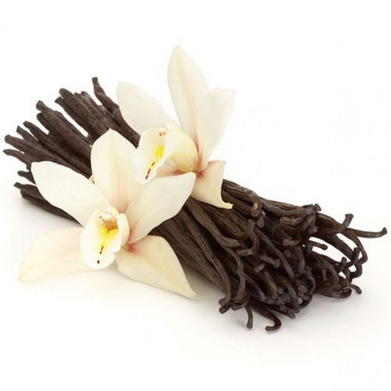 Vanilleöl Vanilla planifolia Bourbon Reines Vanilleöl  naturreines Öl