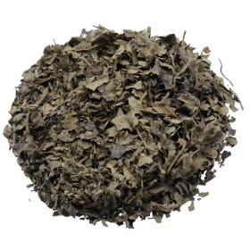 Salvia Divinorum 10X fach extract ( 1 Gramm )