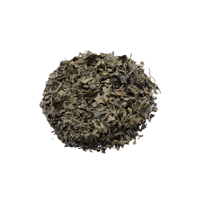 Salvia Divinorum 10X fach extract ( 1 Gramm )