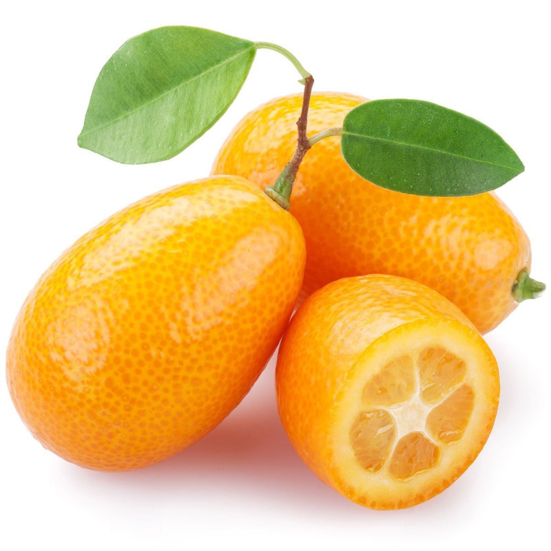 Kumquat Öl  Fortunella japonica naturreines ätherisches Öl