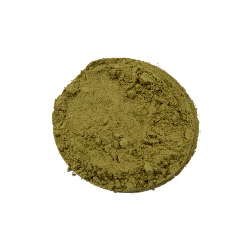 Kratom Maeng Da green fein gemahlen Mytragina Speciosa Maeng Da