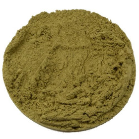 Kratom Borneo green von Fantasia Aroma Mitragyna speciosa feingemahlen