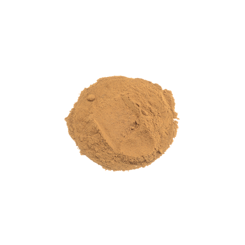 Sakae Naa Combretum Quadrangulare Extrakt 25x fach Fantasia Aroma