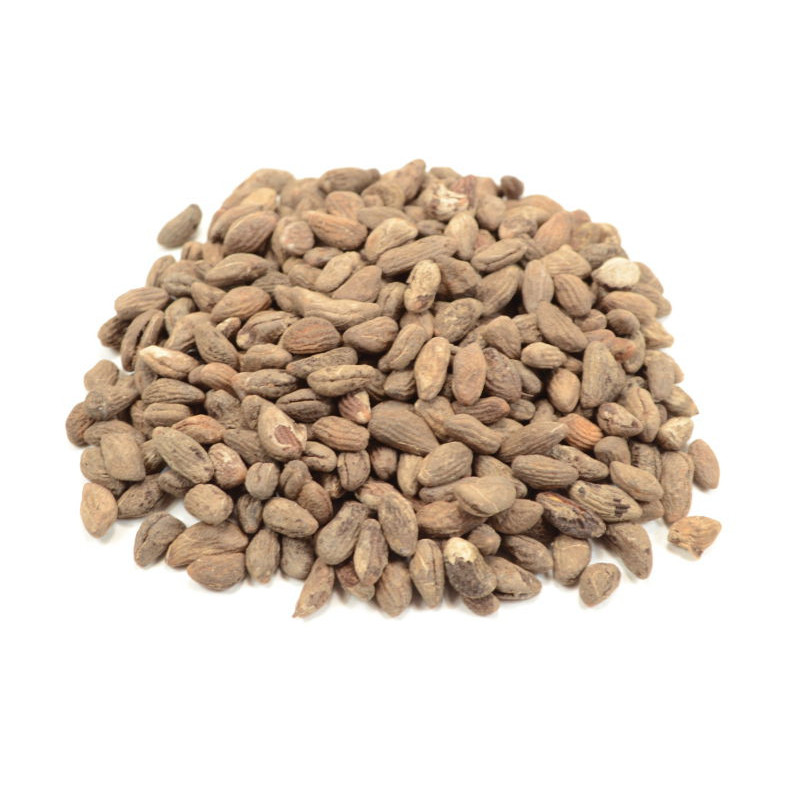 Voacanga Africana Samen Voacangastrauch von Fantasia Aroma