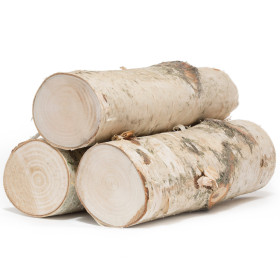 Zuckerbirkenöl Birkenöl  betula lenta  naturreines ätherisches Öl