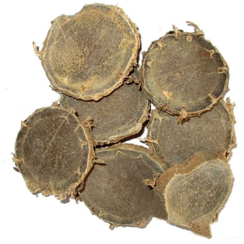 ZEODARIA ( NAR KACHUR ) Curcuma zeodaria naturreines ätherisches Öl