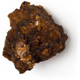 Myrrhenöl Myrrhe Öl  Commiphora myrrha naturreines Öl